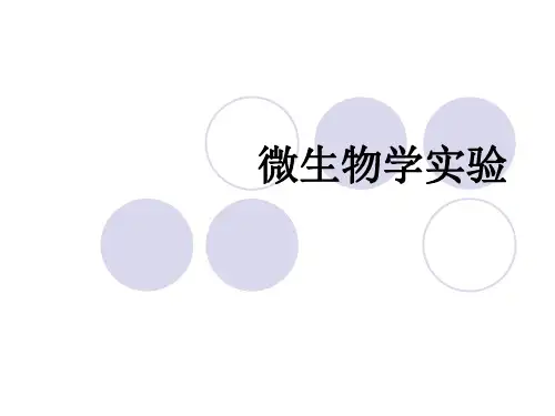 微生物学实验介绍