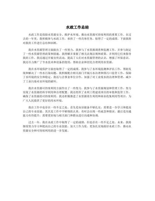 水政工作总结