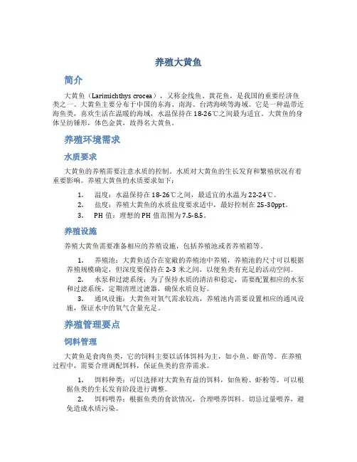 养殖大黄鱼