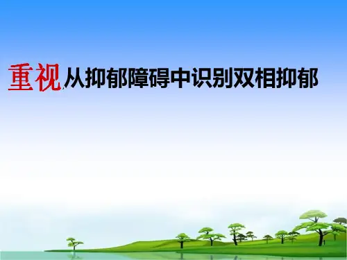 双相障碍PPT课件