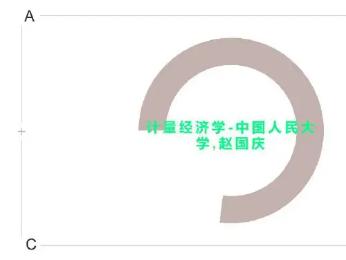 计量经济学-中国人民大学,赵国庆