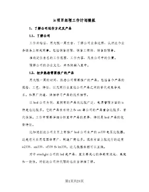 2024年it项目经理工作计划模板(五篇)