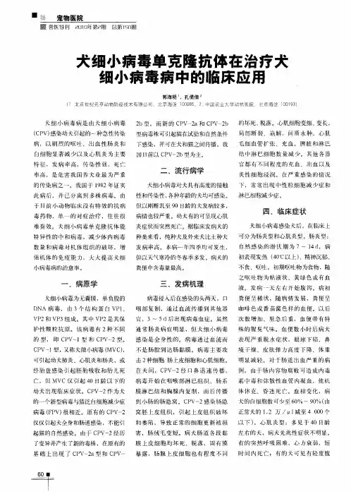 犬细小病毒单克隆抗体在治疗犬细小病毒病中的临床应用