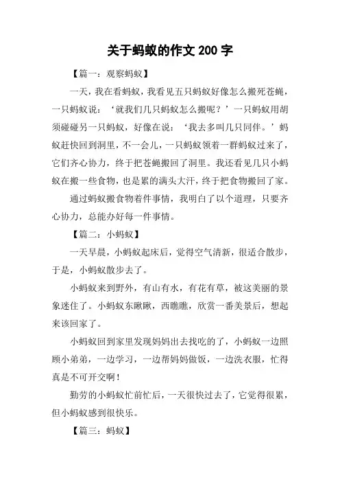 关于蚂蚁的作文200字