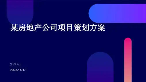 某房地产公司项目策划方案