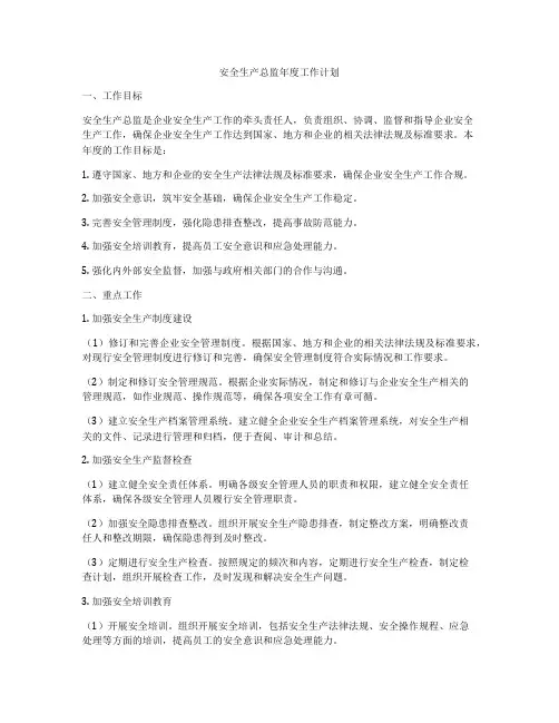 安全生产总监年度工作计划