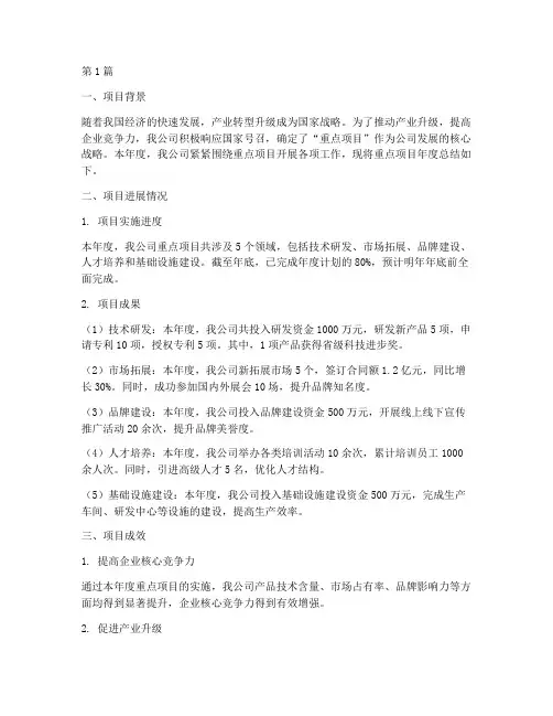重点项目年度总结材料(3篇)