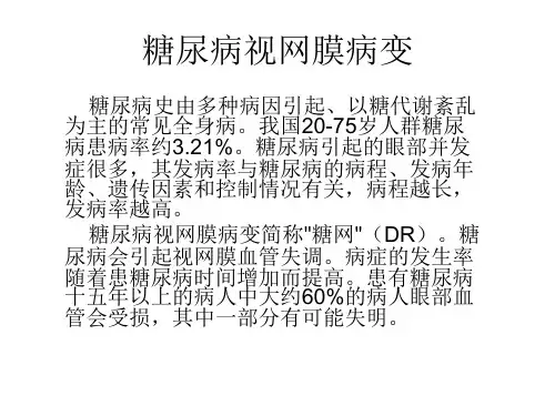 糖尿病视网膜病变