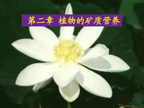 植物生理学第2章