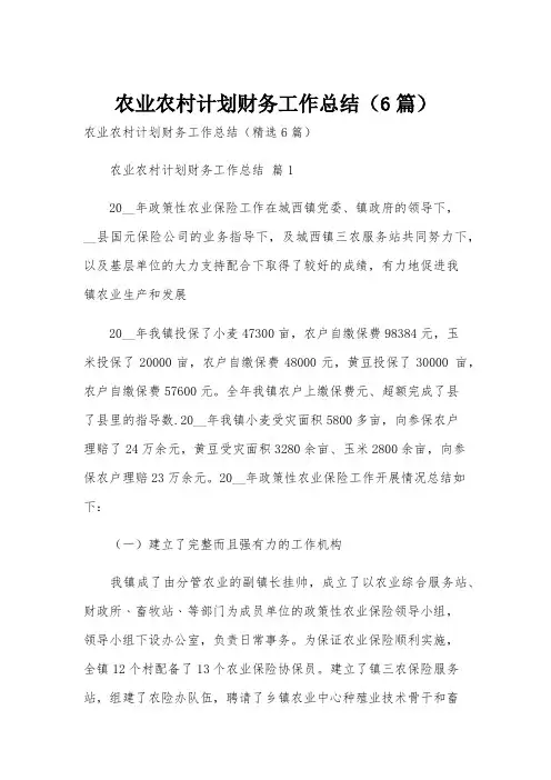 农业农村计划财务工作总结(6篇)