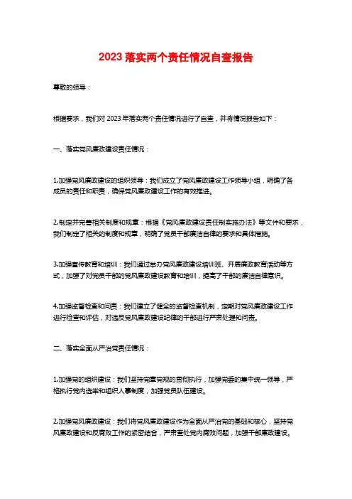 2023落实两个责任情况自查报告
