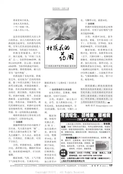 杜鹃花的药用