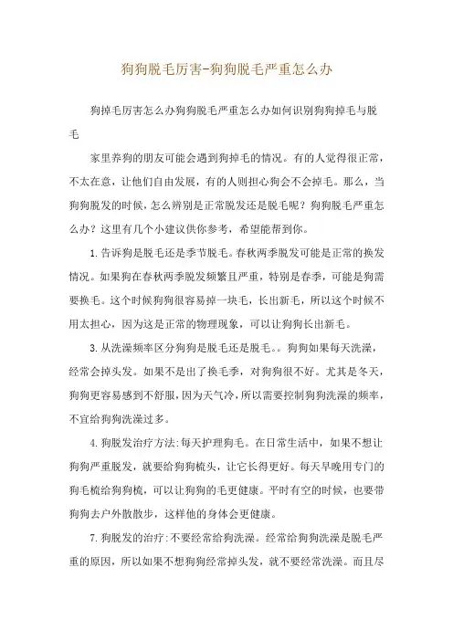狗狗脱毛厉害-狗狗脱毛严重怎么办
