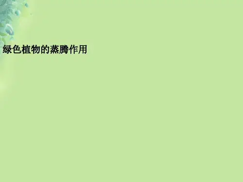 2.《绿色植物的蒸腾作用》课件(济南版)
