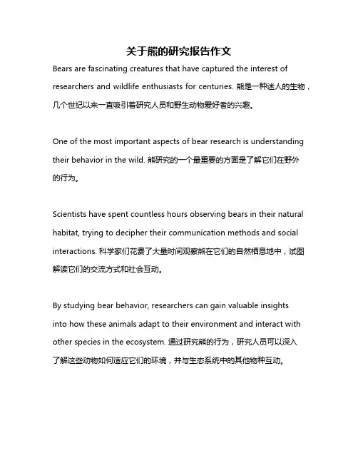 关于熊的研究报告作文