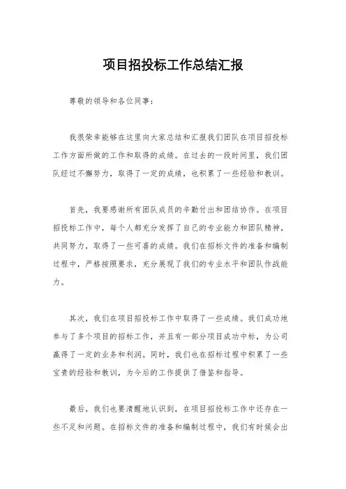 项目招投标工作总结汇报