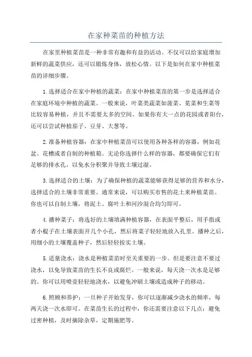 在家种菜苗的种植方法