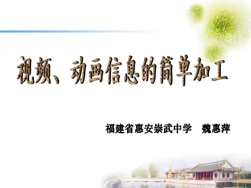 视频、动画信息的简单加工