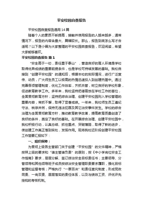 平安校园自查报告