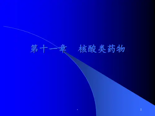 核酸类药物ppt课件