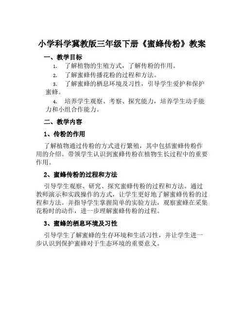 小学科学冀教版三年级下册《蜜蜂传粉》教案