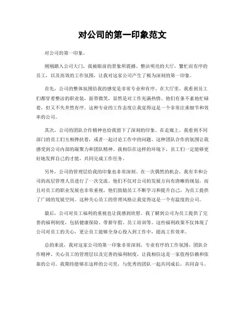 对公司的第一印象范文