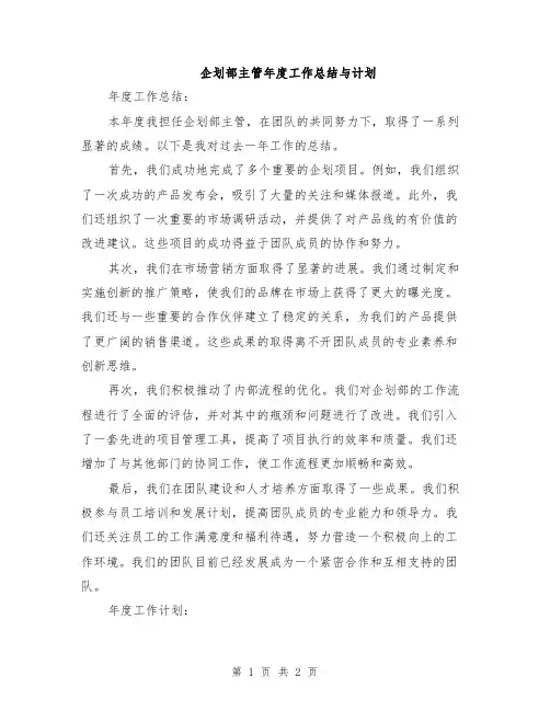 企划部主管年度工作总结与计划