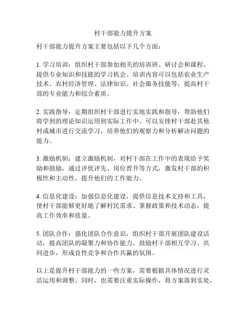 村干部能力提升方案