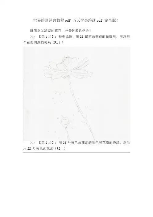世界绘画经典教程pdf五天学会绘画pdf完全版!