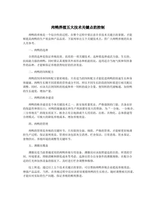 肉鸭养殖五大技术关键点的控制