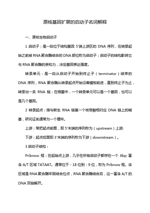 原核基因扩展的启动子名词解释