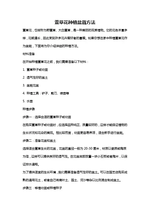 萱草花种植盆栽方法
