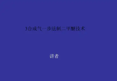 3合成气一步法制二甲醚技术
