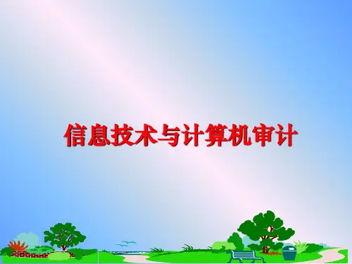 【精品】信息技术与计算机审计PPT课件