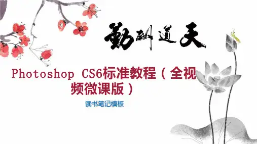 Photoshop CS6标准教程(全视频微课版)