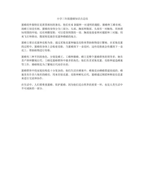 小学三年级蜜蜂知识点总结