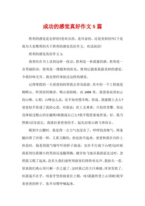 成功的感觉真好作文5篇