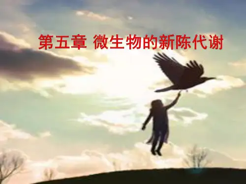 第5章微生物的新陈代谢