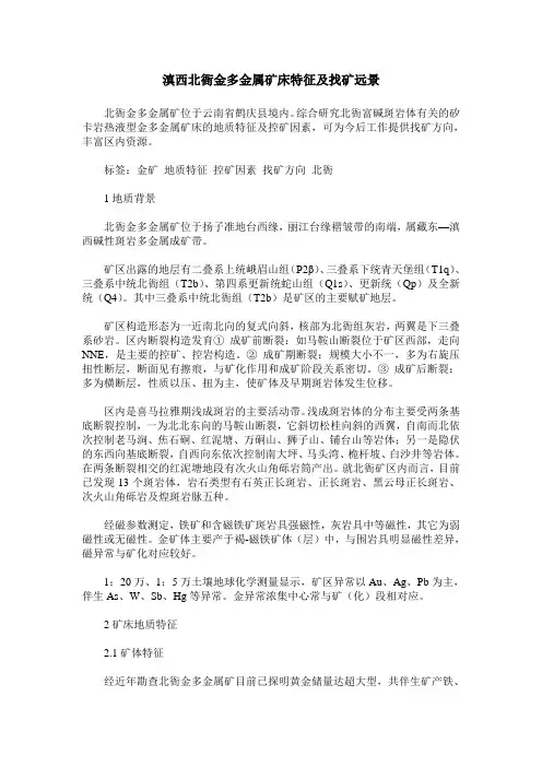 滇西北衙金多金属矿床特征及找矿远景