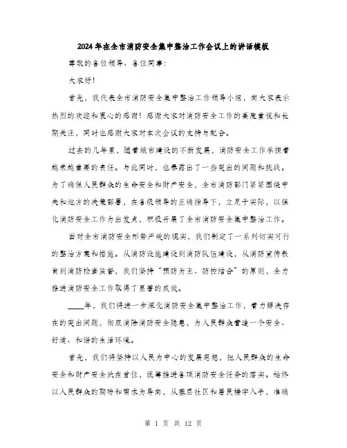 2024年在全市消防安全集中整治工作会议上的讲话模板(五篇)