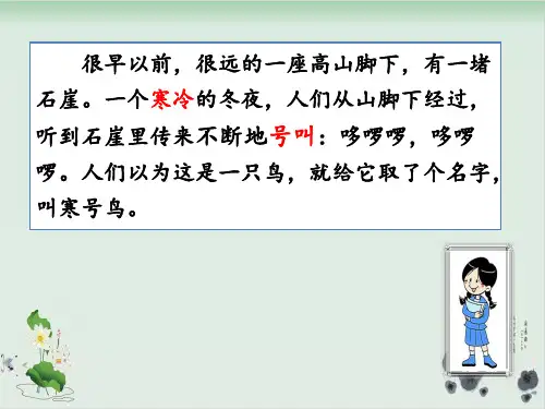 部编版寒号鸟优秀-PPT1