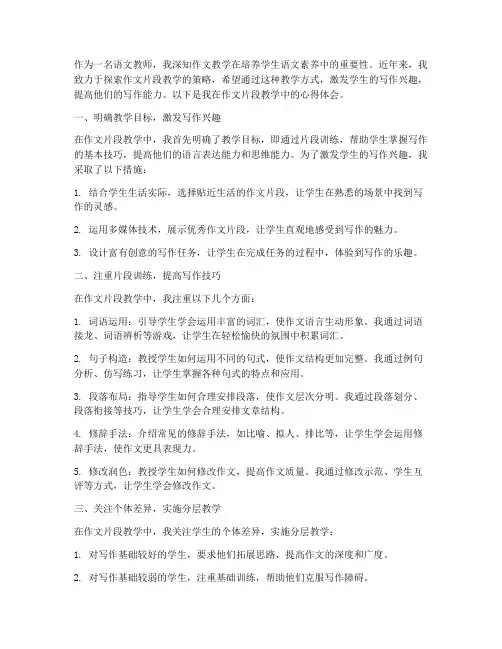 作文片段教学心得体会