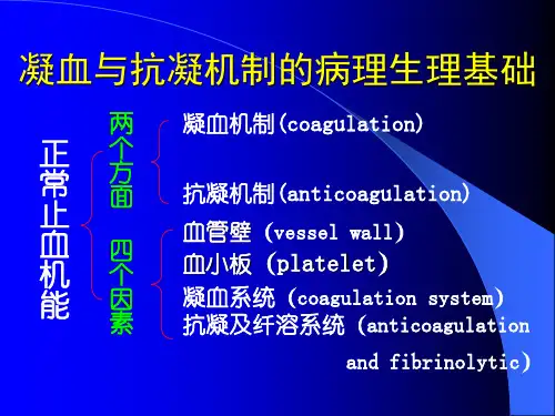诊断学止血与凝血