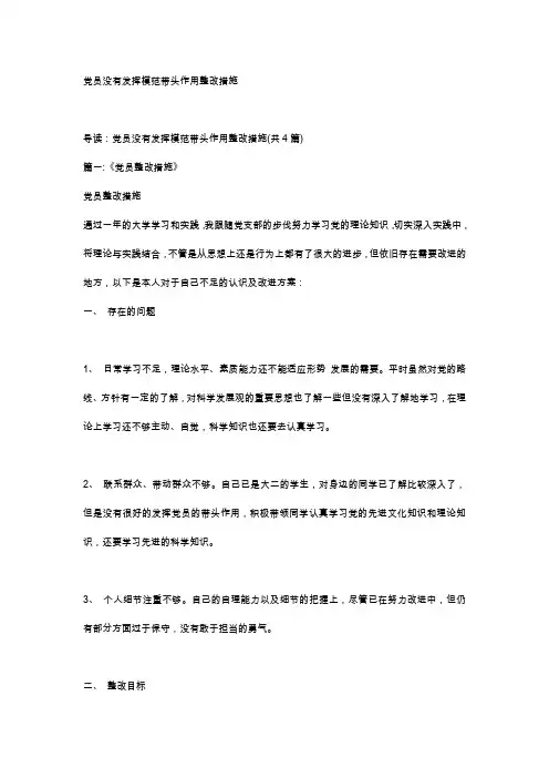 党员没有发挥模范带头作用整改措施