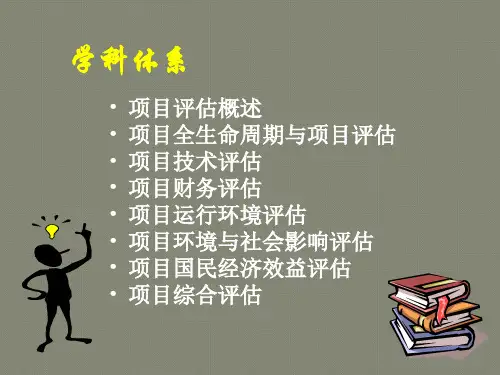 一、项目评估概述