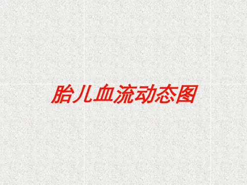 胎儿血流动态图培训课件