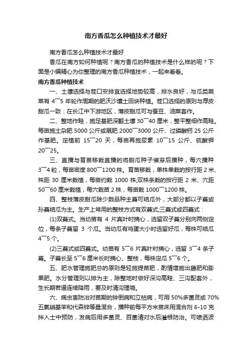 南方香瓜怎么种植技术才最好