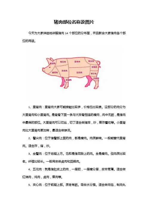 猪肉部位名称及图片