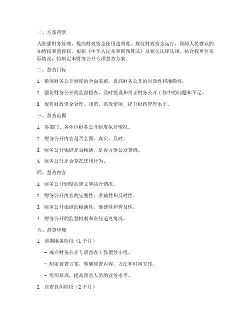 财务公开专项督查方案