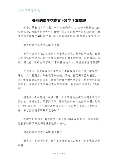 美丽的牵牛花作文400字7篇整理